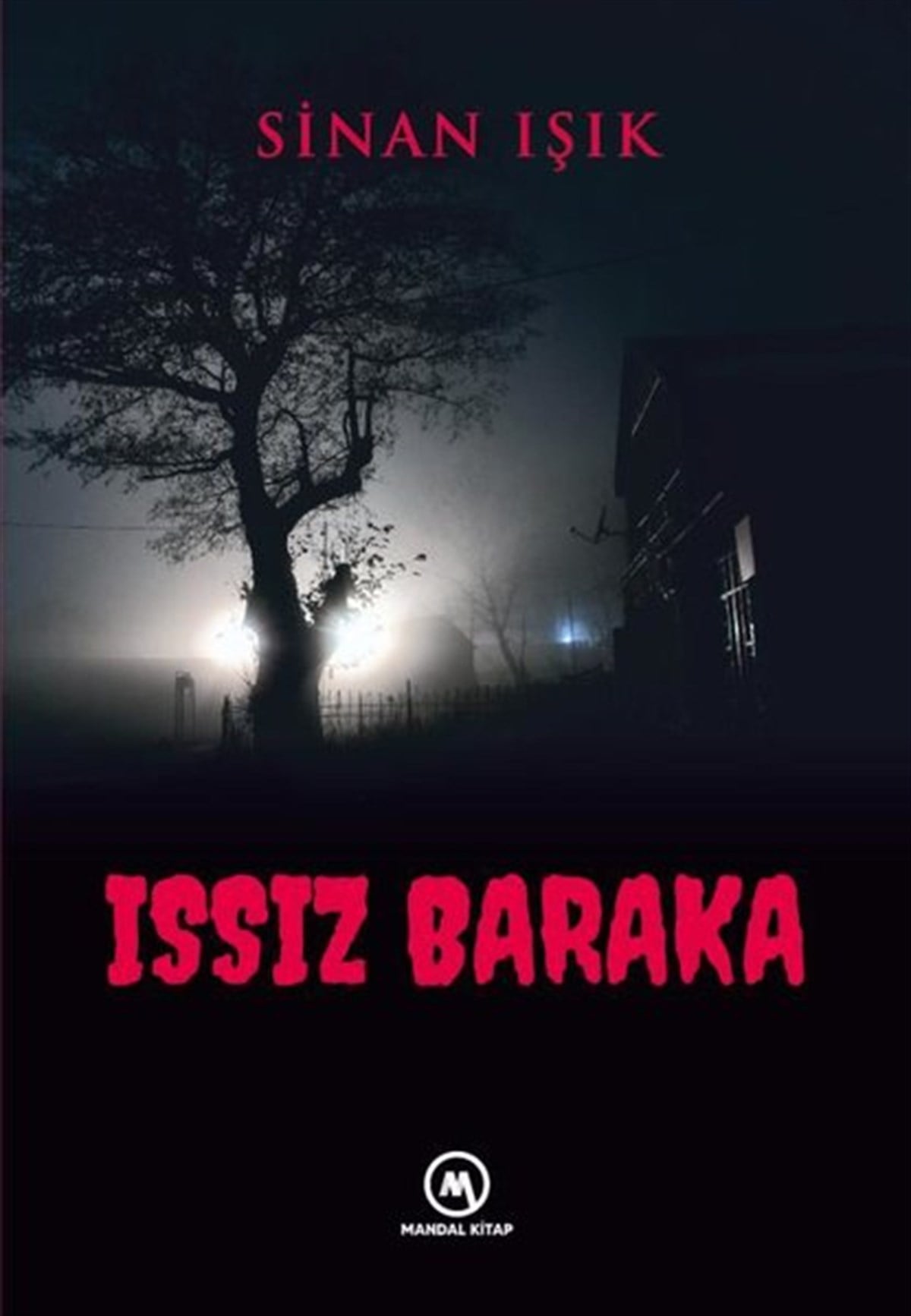 Sinan IşıkTürkiye RomanIssız Baraka