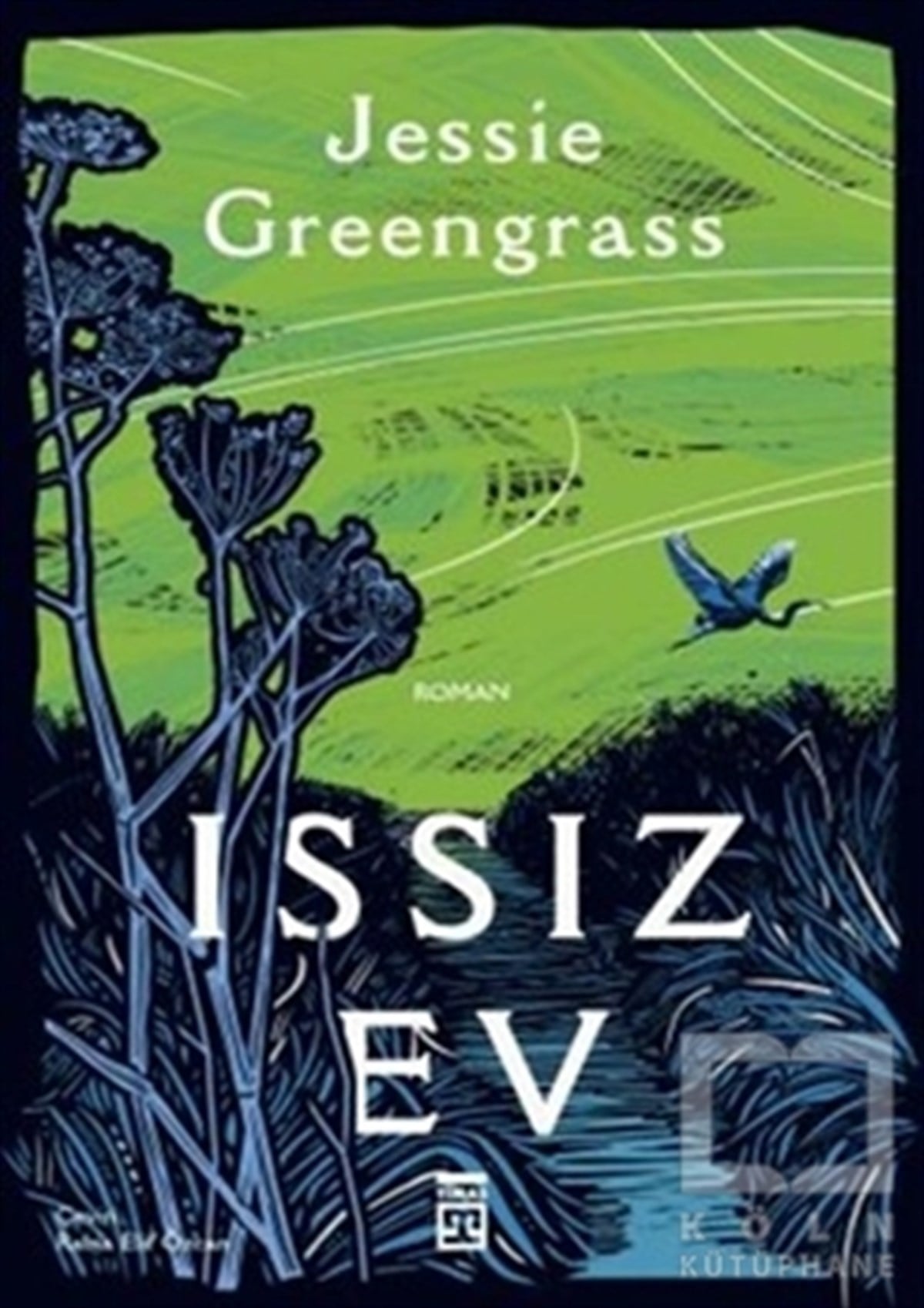 Jessie GreengrassTürkçe RomanlarIssız Ev