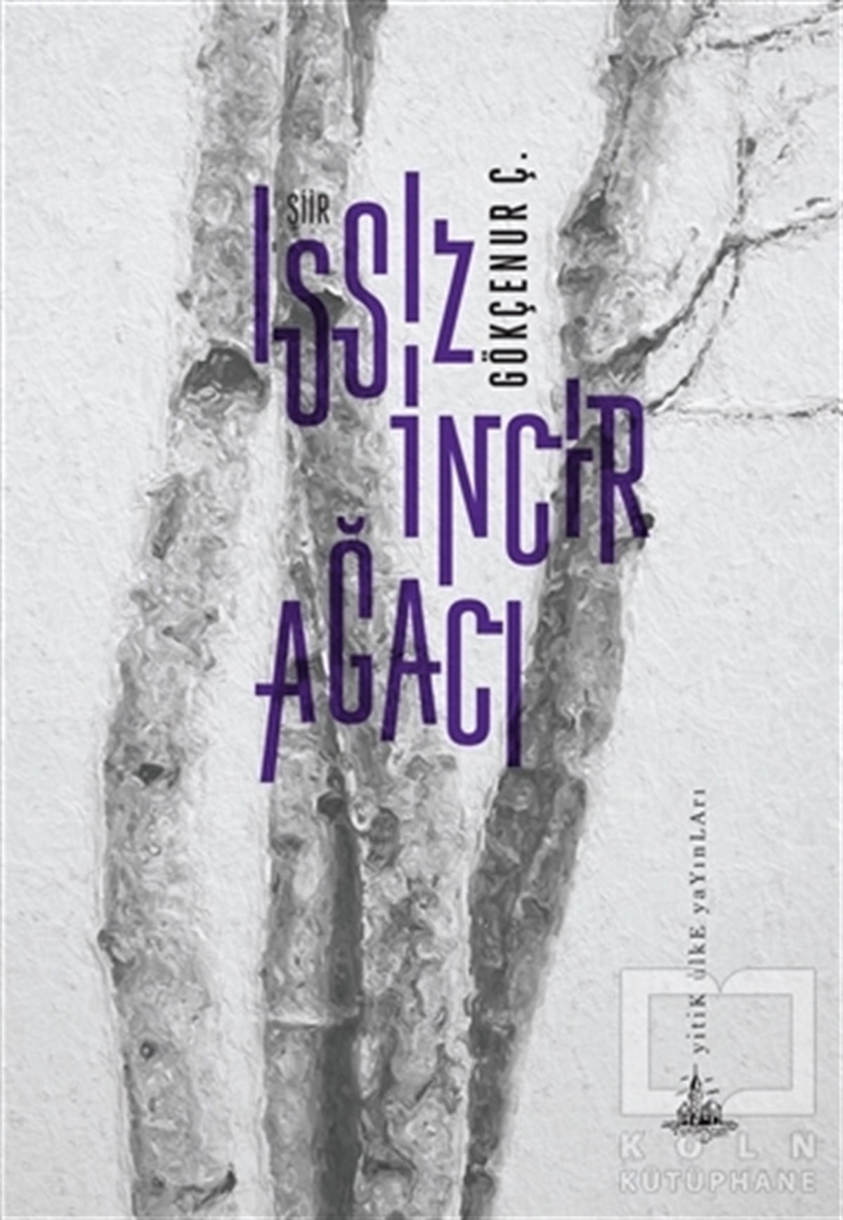 Gökçenur Ç.ŞiirIssız İncir Ağacı