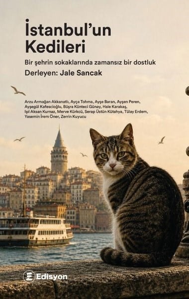 KolektifTürk Romaniİstanbul'un Kedileri