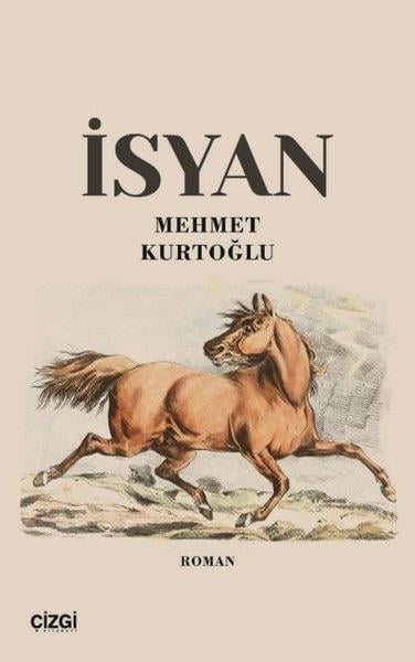 Mehmet KurtoğluTürk Romaniİsyan