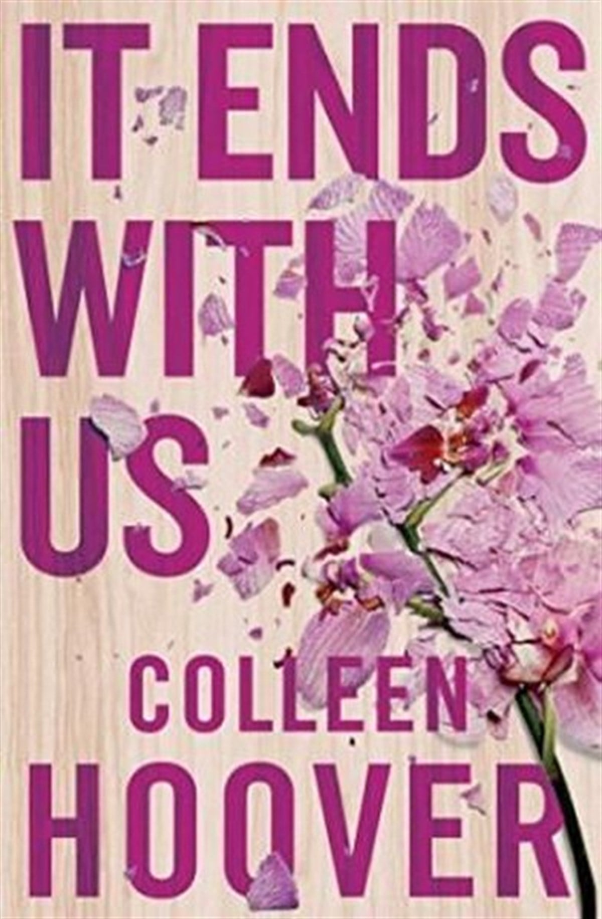 Colleen HooverRomanceIt Ends With Us