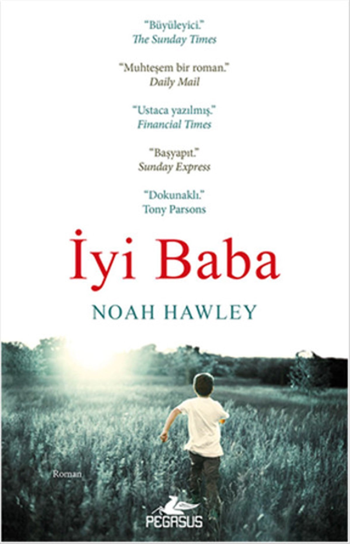 Meral GökDünya Romanİyi Baba