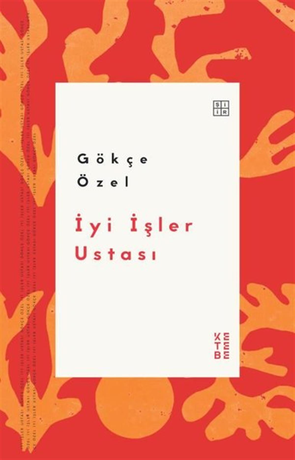Gökçe ÖzelTürk Şiiriİyi İşler Ustası