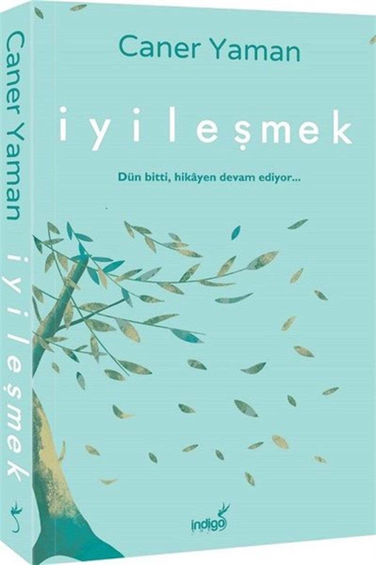 Caner YamanDeneme Kitaplarıİyileşmek