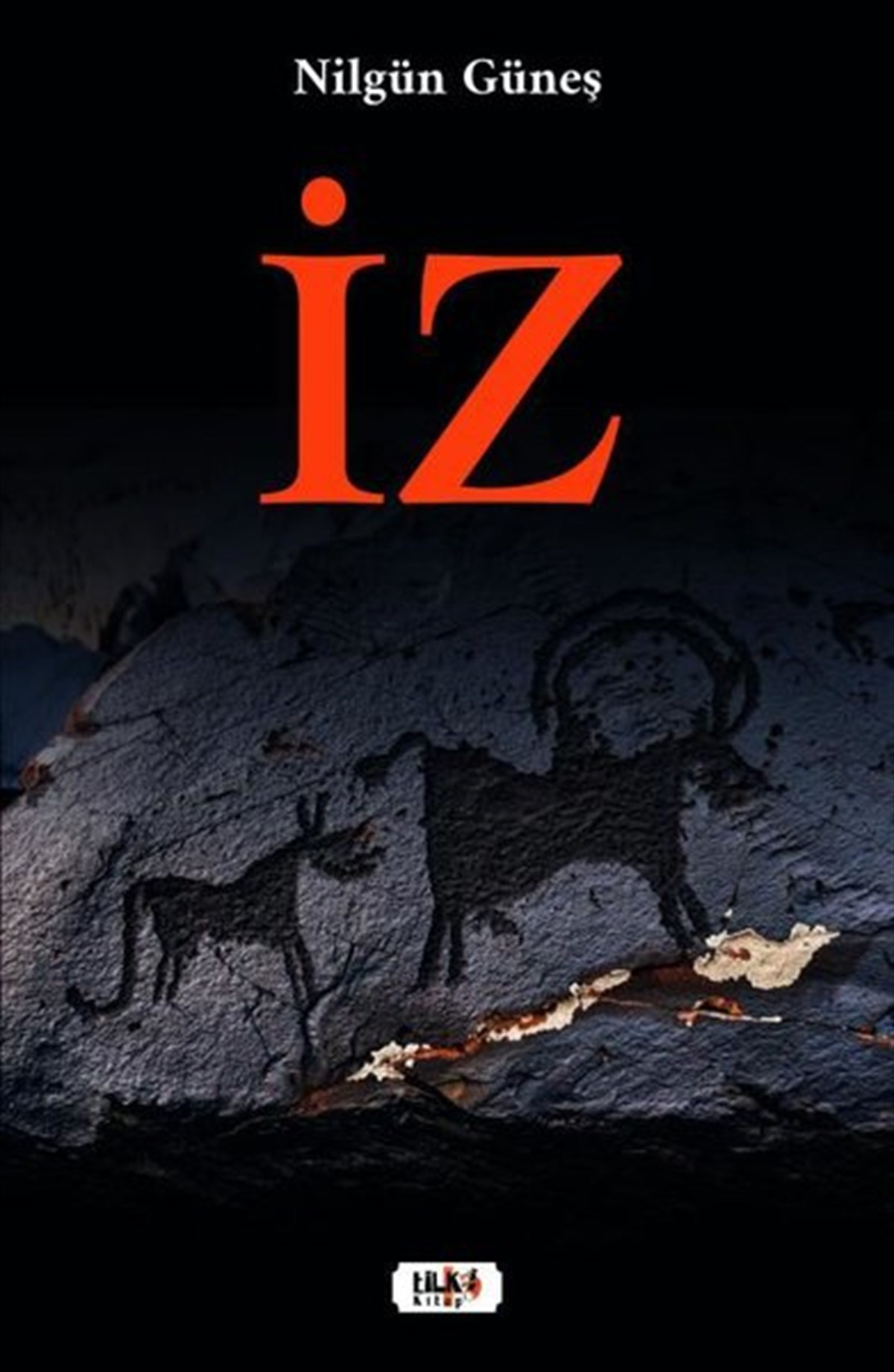 Nilgün GüneşTürkiye Romanİz