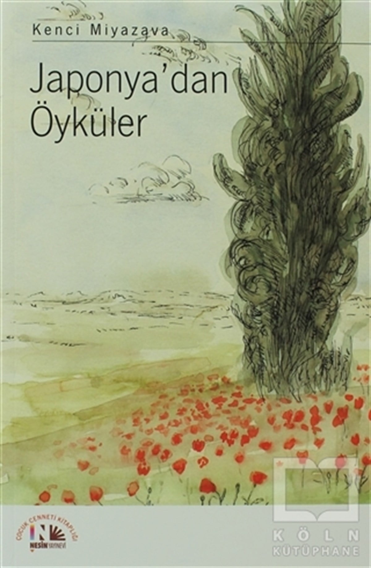 Kenci MiyazavaRomanJaponya’dan Öyküler