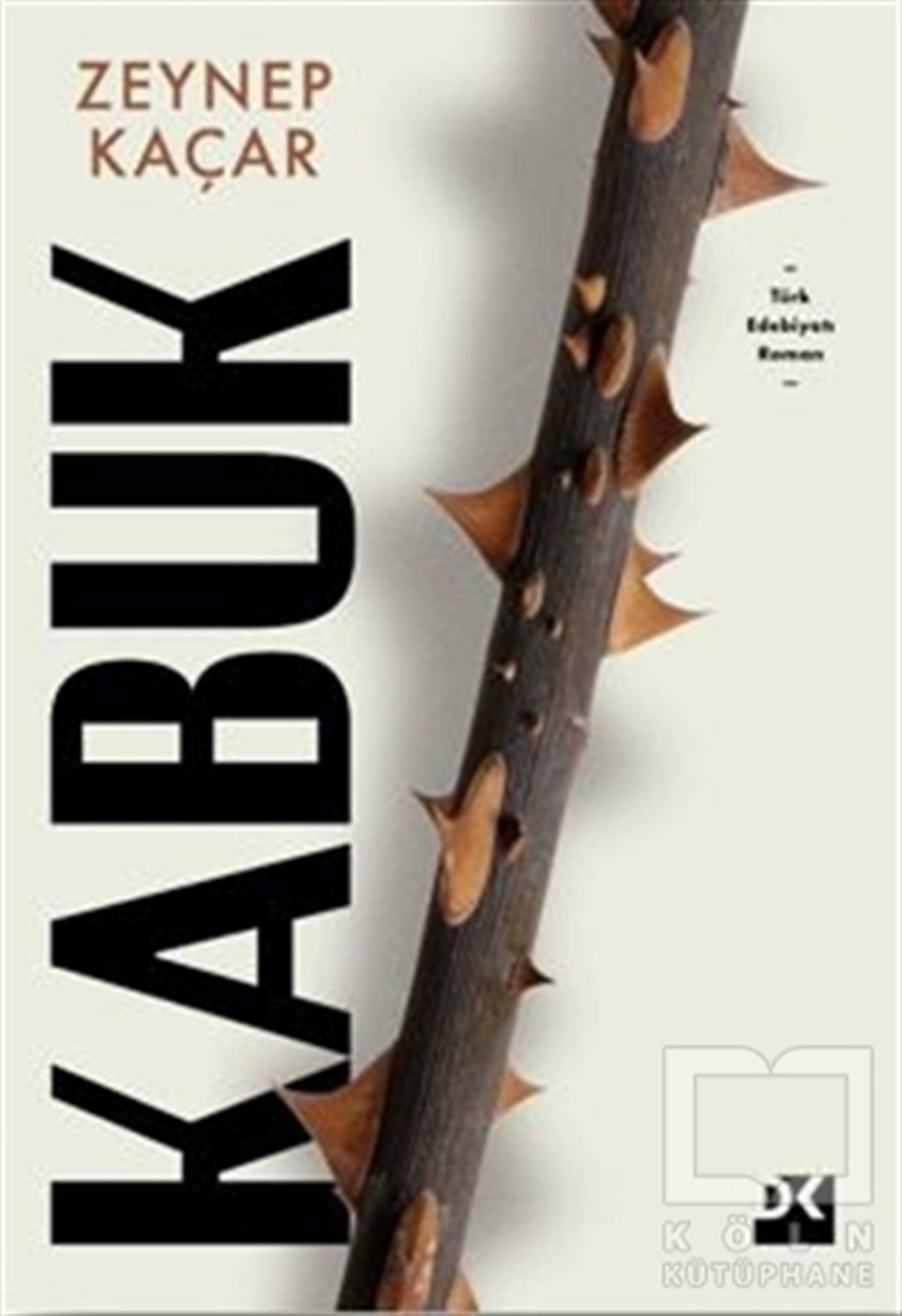 Zeynep KaçarRomanKabuk