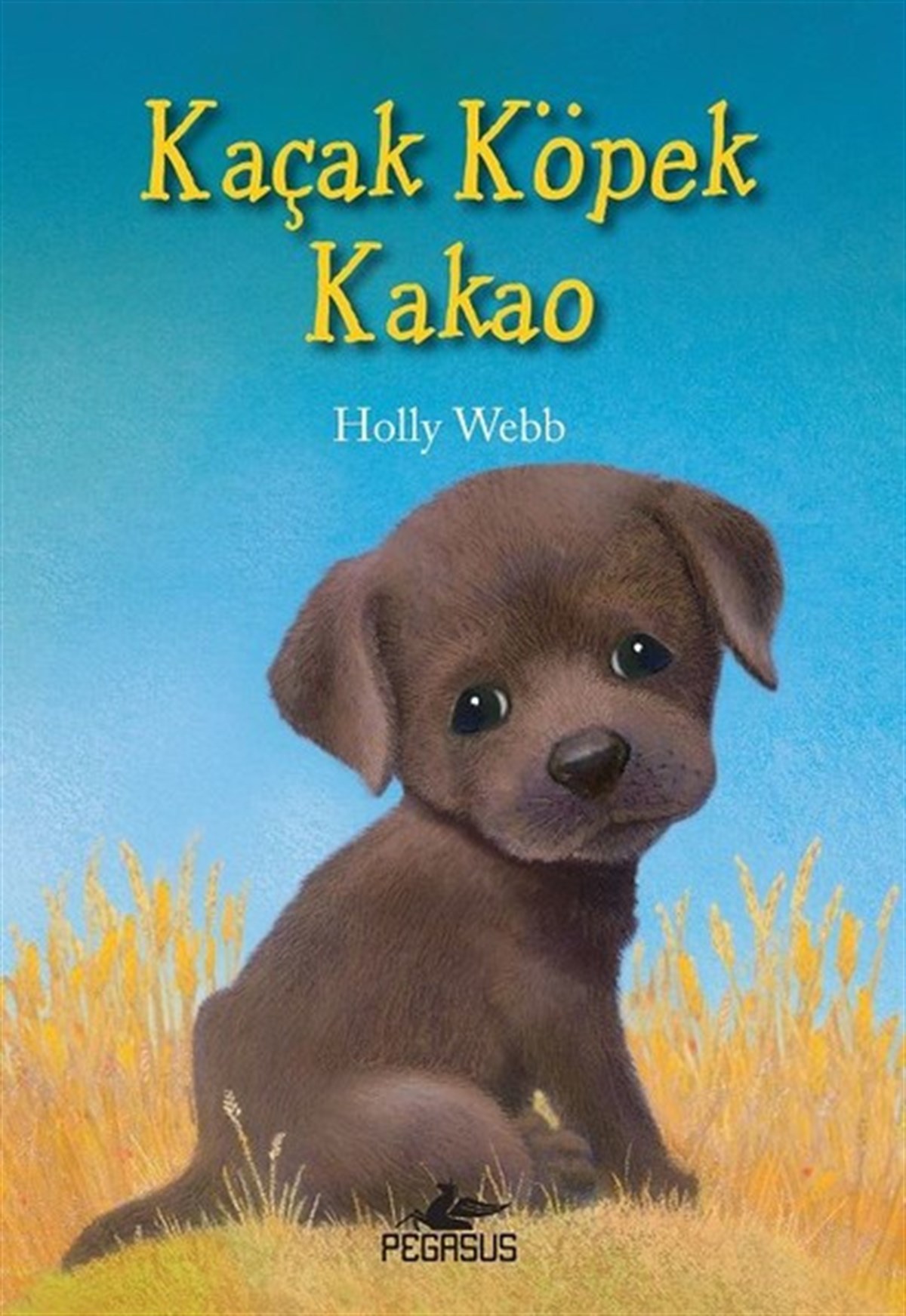 Holly WebbÇocuk Masal KitaplarıKaçak Köpek Kakao