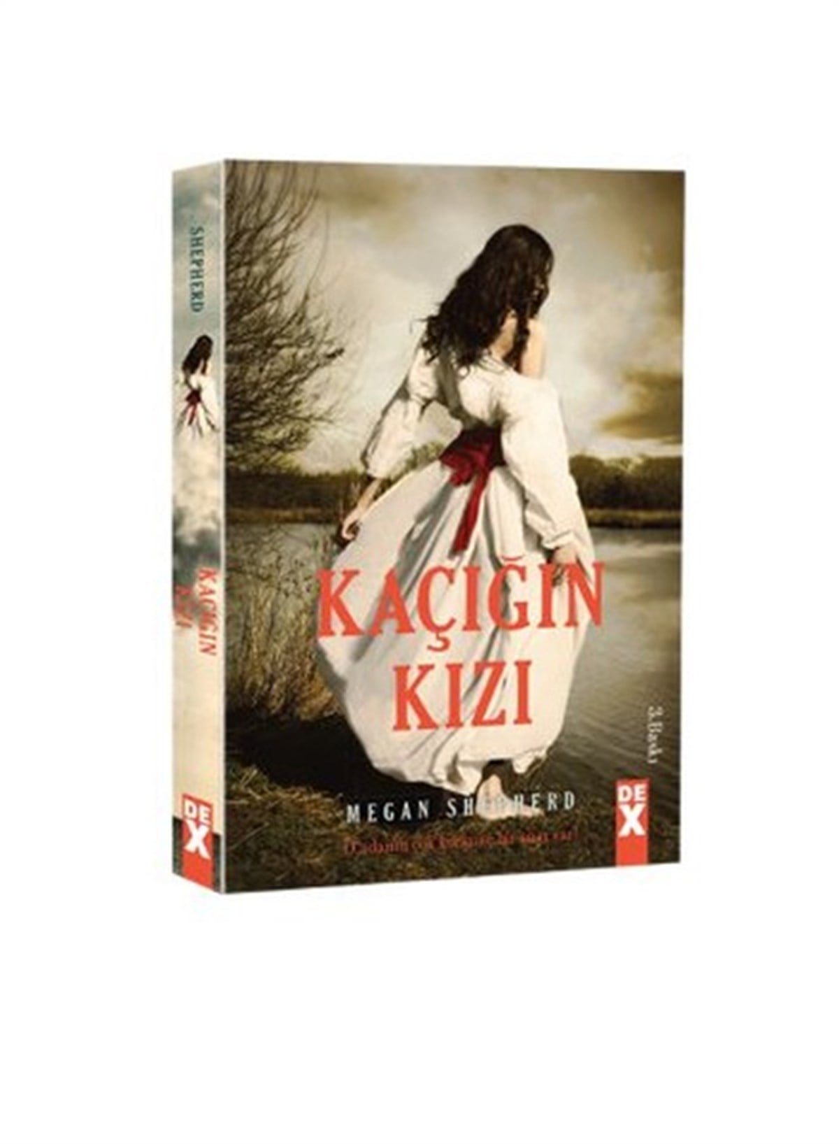 Belgin Selen HaktanırKorku Kitapları & Gerilim KitaplarıKaçığın Kızı