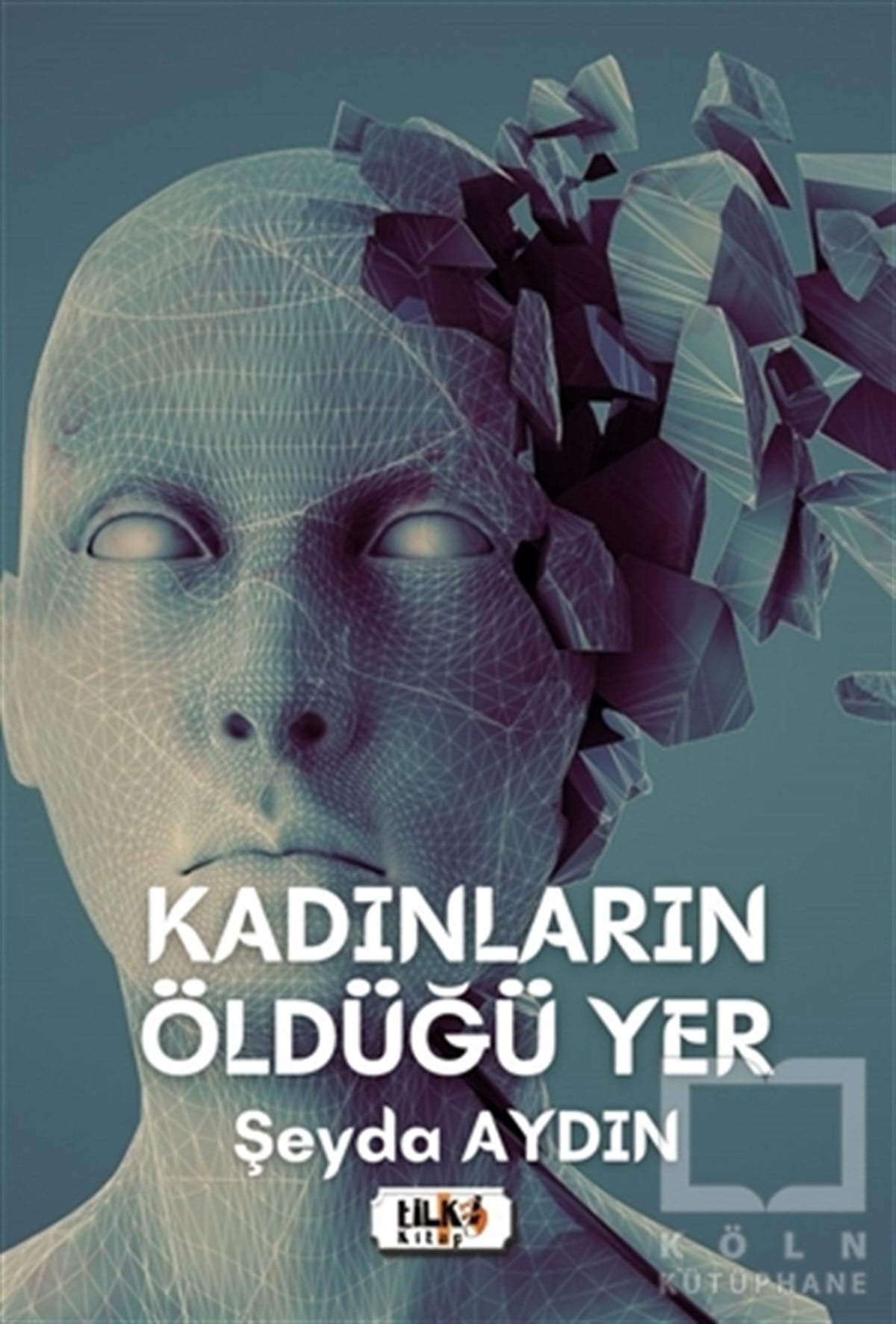 Şeyda AydınTürkçe RomanlarKadınların Öldüğü Yer