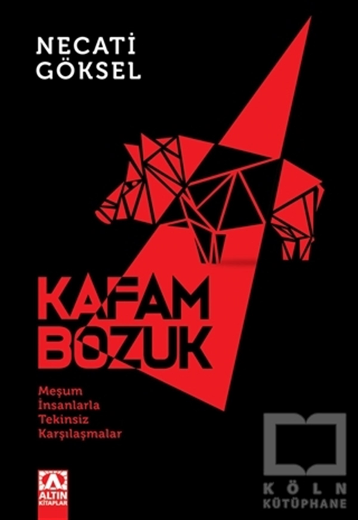 Necati GökselPolisiyeKafam Bozuk