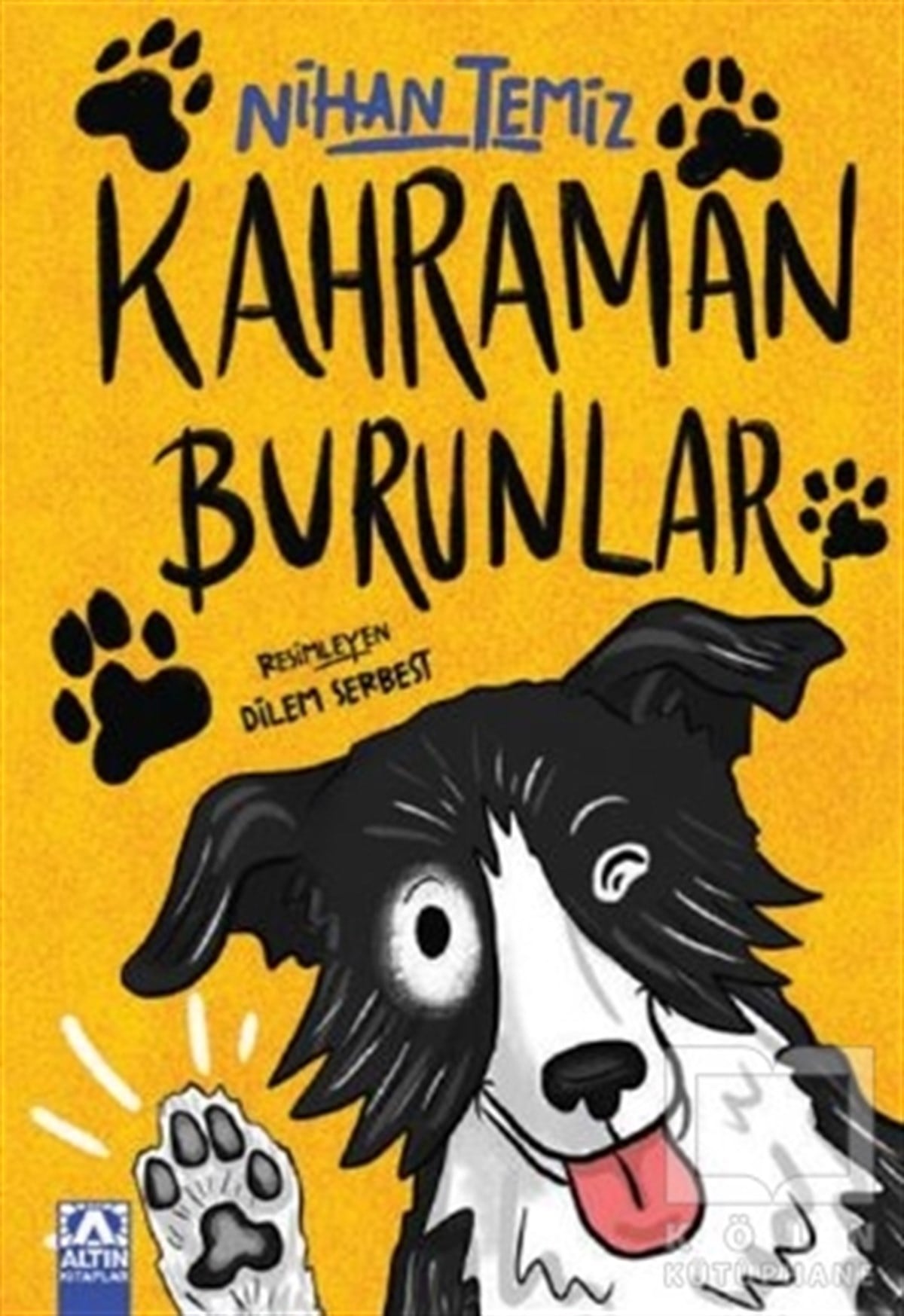 Nihan TemizÇocuk RomanlarıKahraman Burunlar