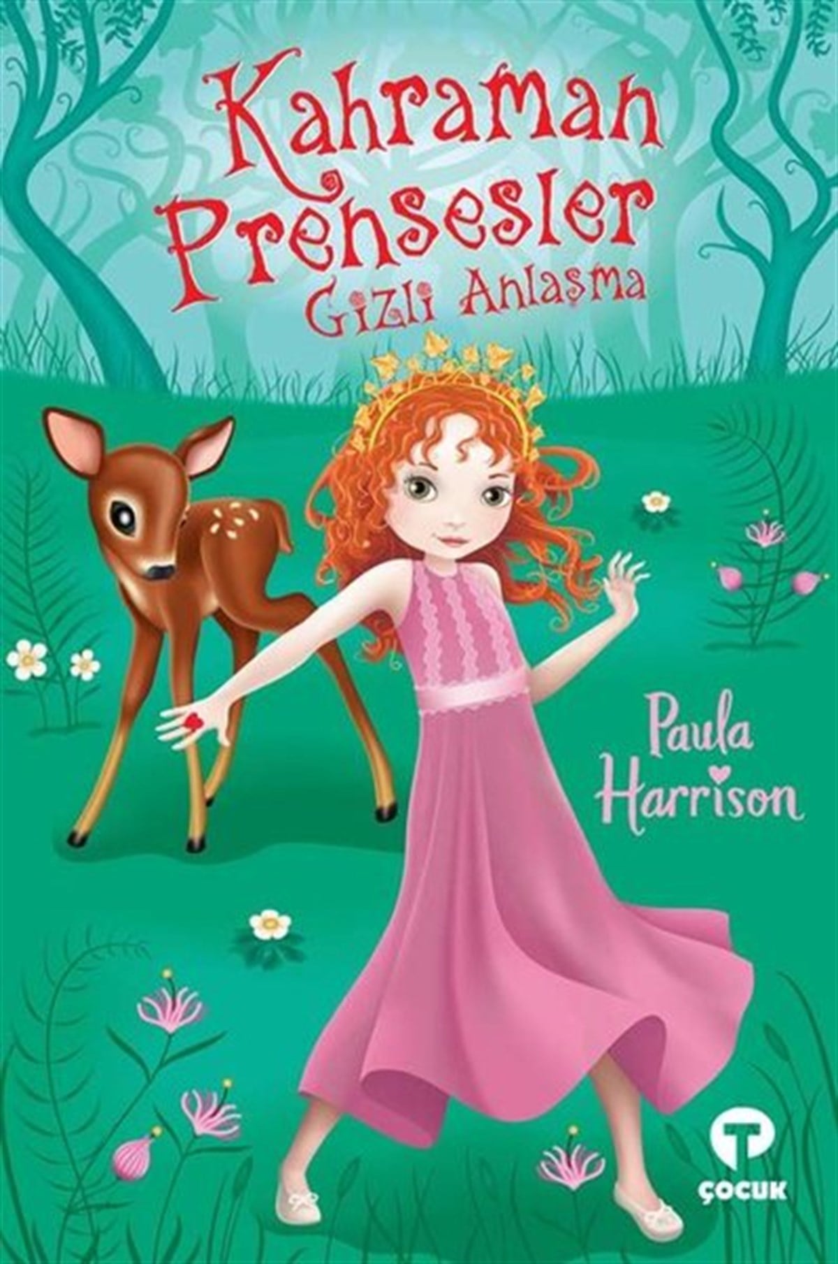 Paula HarrisonÇocuk Gençlik RomanlarıKahraman Prensesler - Gizli Anlaşma