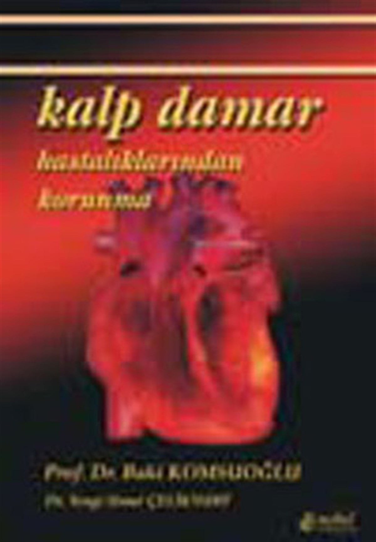 Prof.Dr. Baki KomşuoğluBeden SağlığıKalp Damar Hastalıklarından Korunma