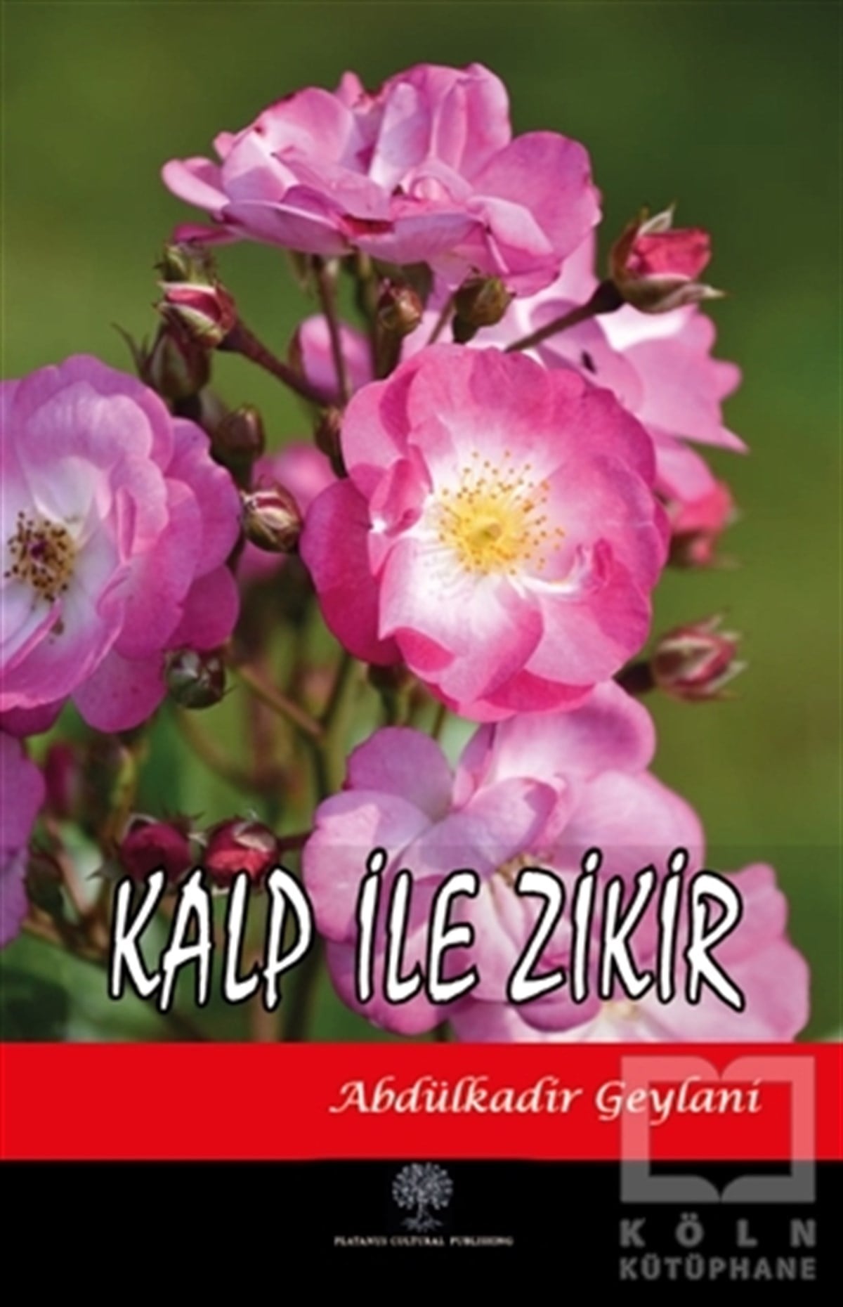 Abdülkadir GeylaniTasavvuf KitaplarıKalp İle Zikir