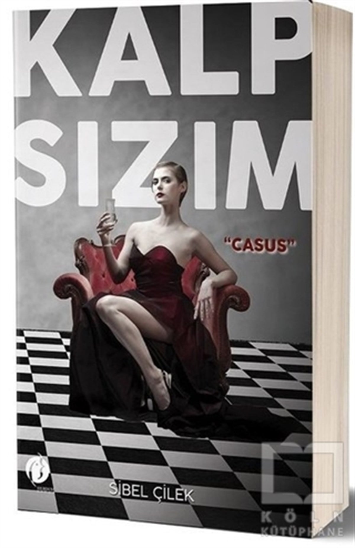 Sibel ÇelikRomanKalp Sızım - Casus