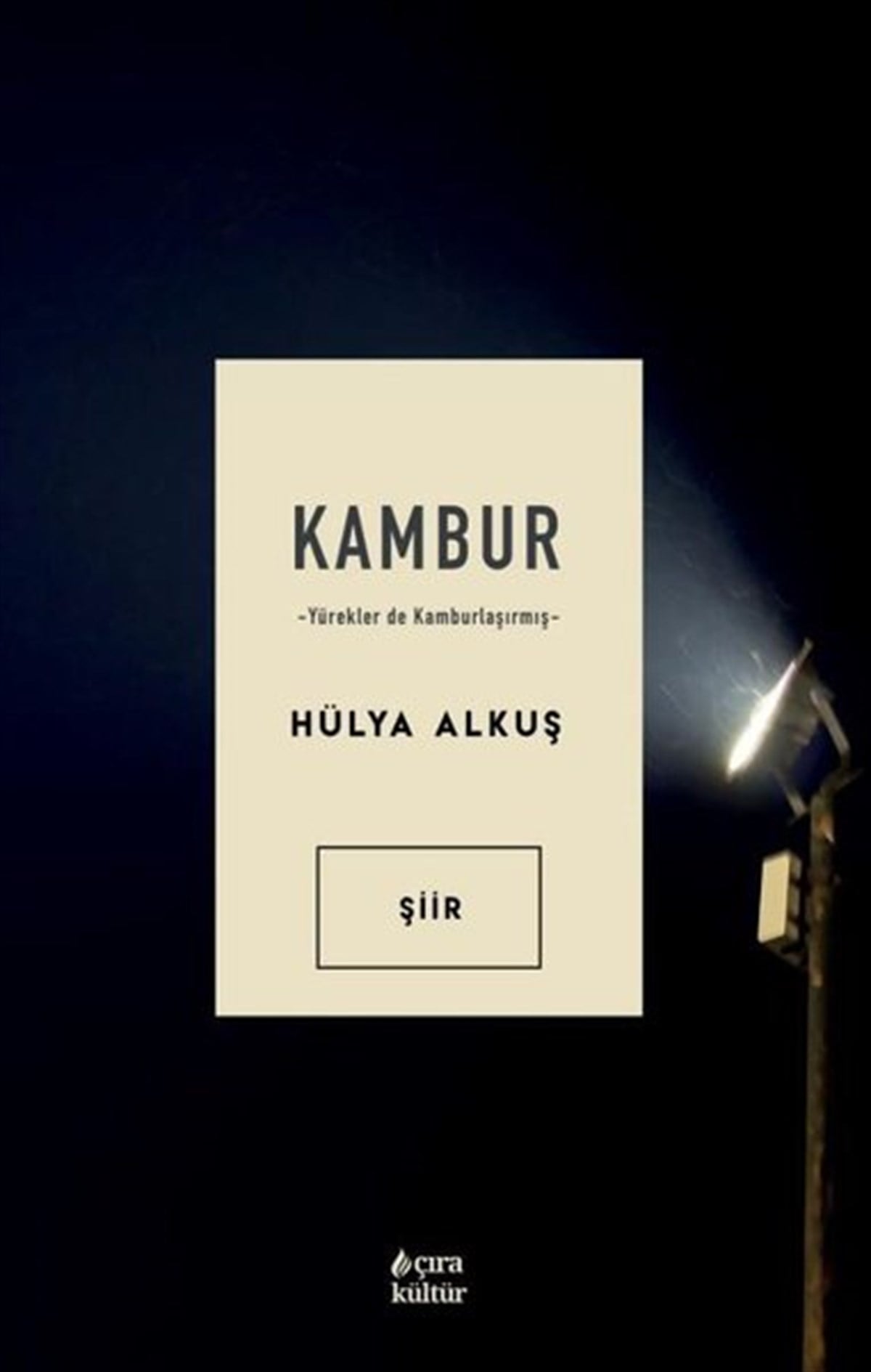 Hülya AlkuşTürk ŞiiriKambur