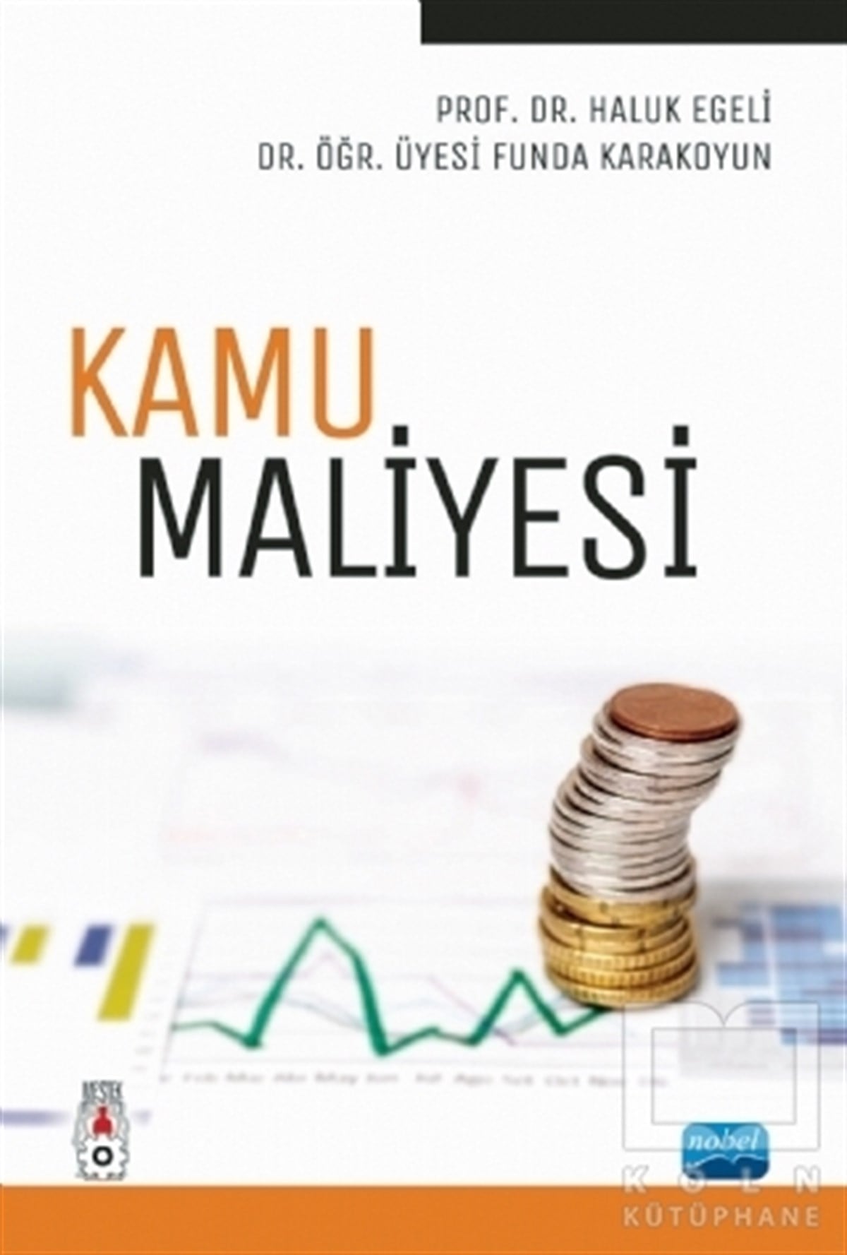 Haluk Egeliİşletme, Muhasebe, MaliyeKamu Maliyesi