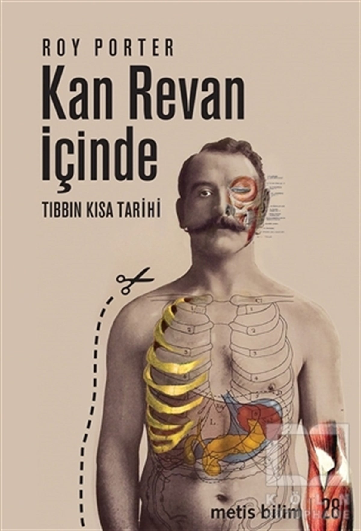 Roy PorterTıp BilimleriKan Revan İçinde