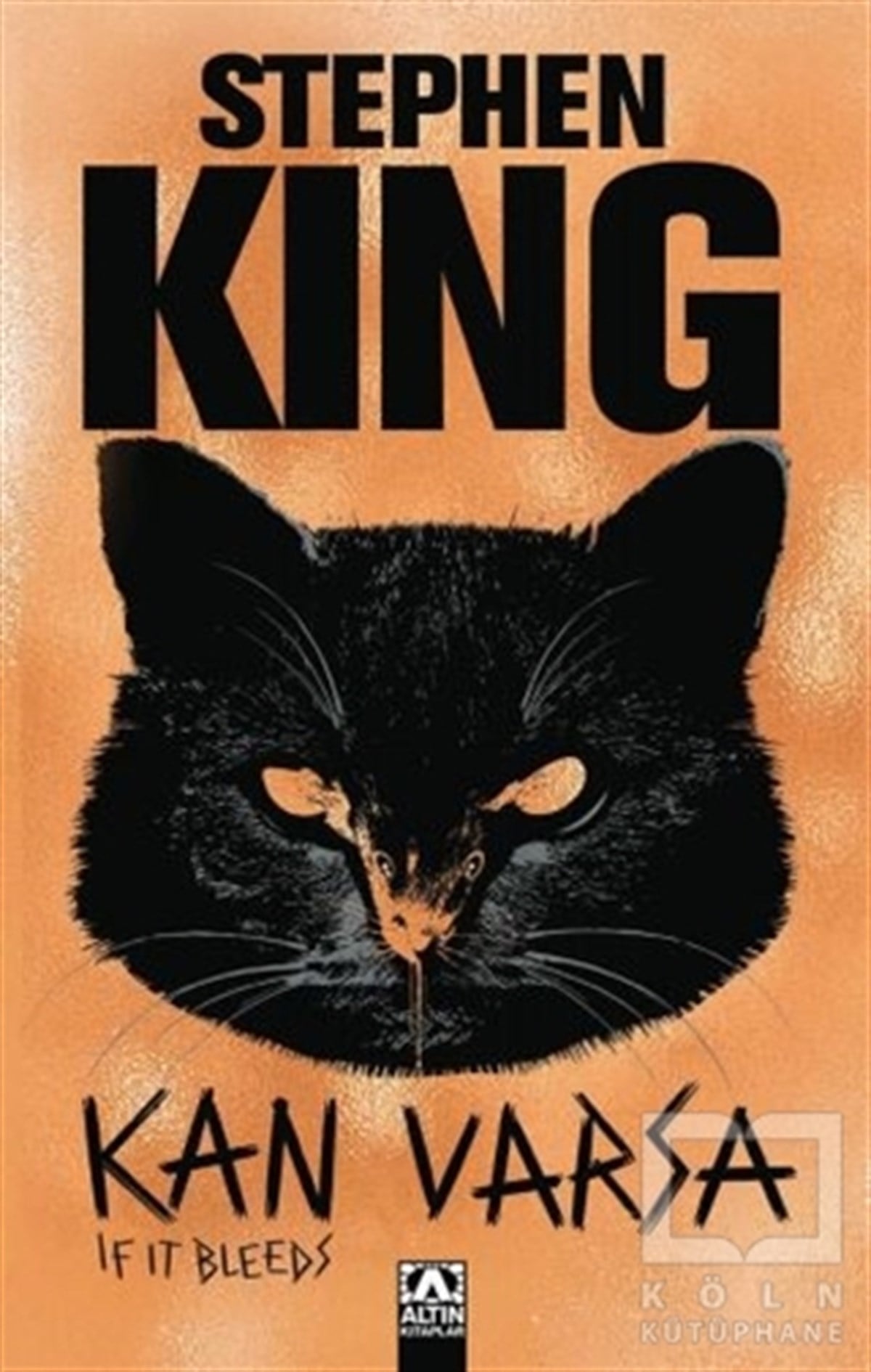 Stephen KingKorku Kitapları & Gerilim KitaplarıKan Varsa