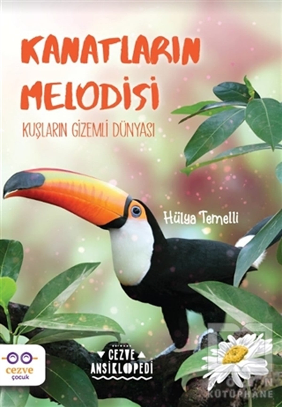 Hülya TemelliPopüler Bilim KitaplarıKanatların Melodisi