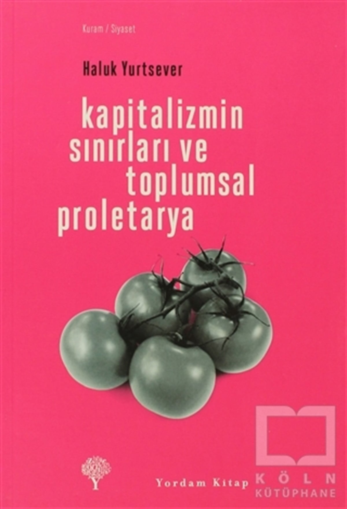 Haluk YurtseverSiyaset BilimiKapitalizmin Sınırları ve Toplumsal Proletarya