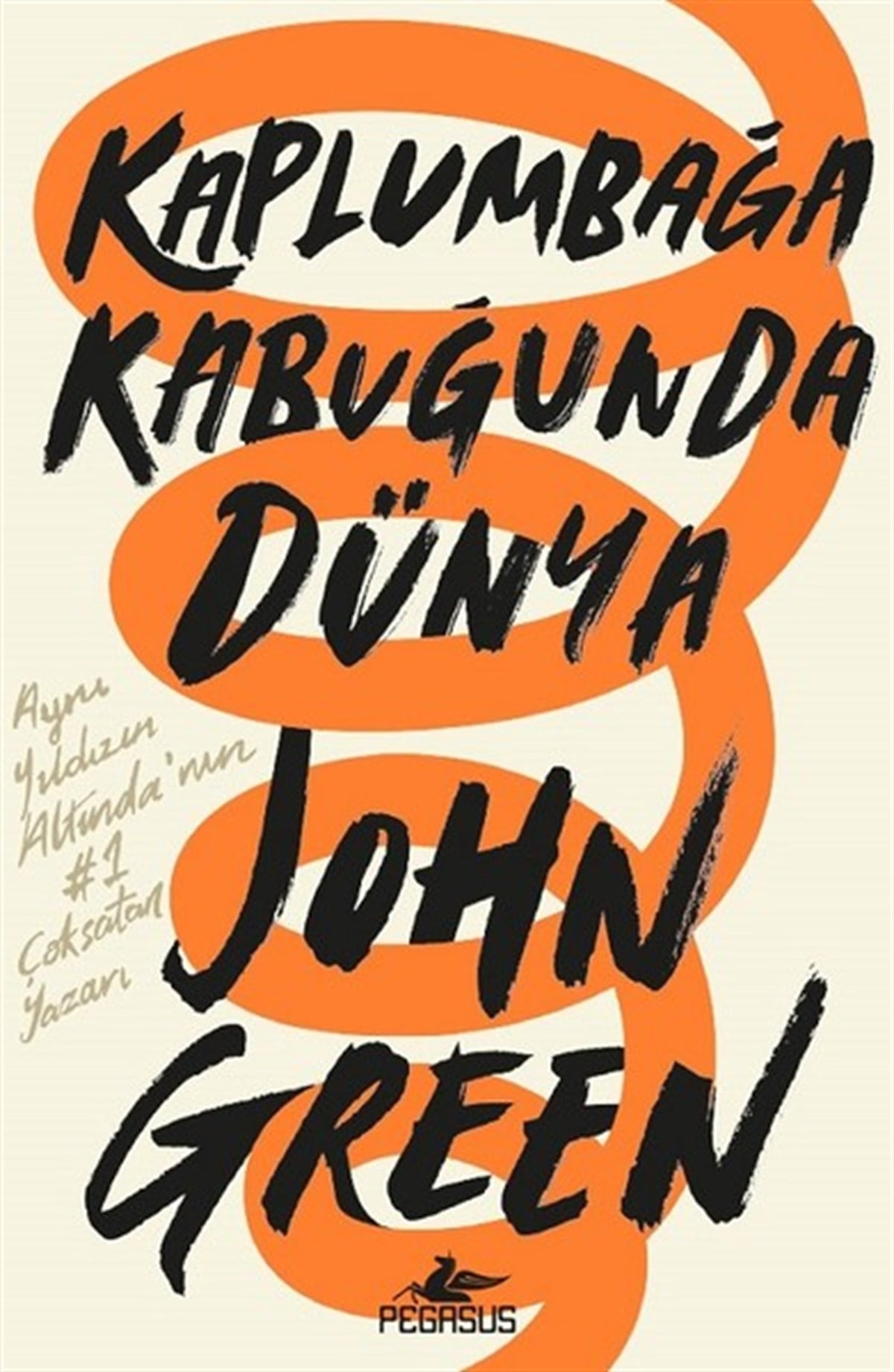 John GreenDünya RomanKaplumbağa Kabuğunda Dünya