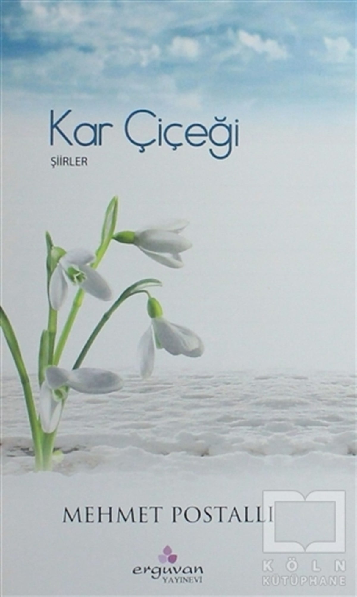 Mehmet PostallıŞiirKar Çiçeği