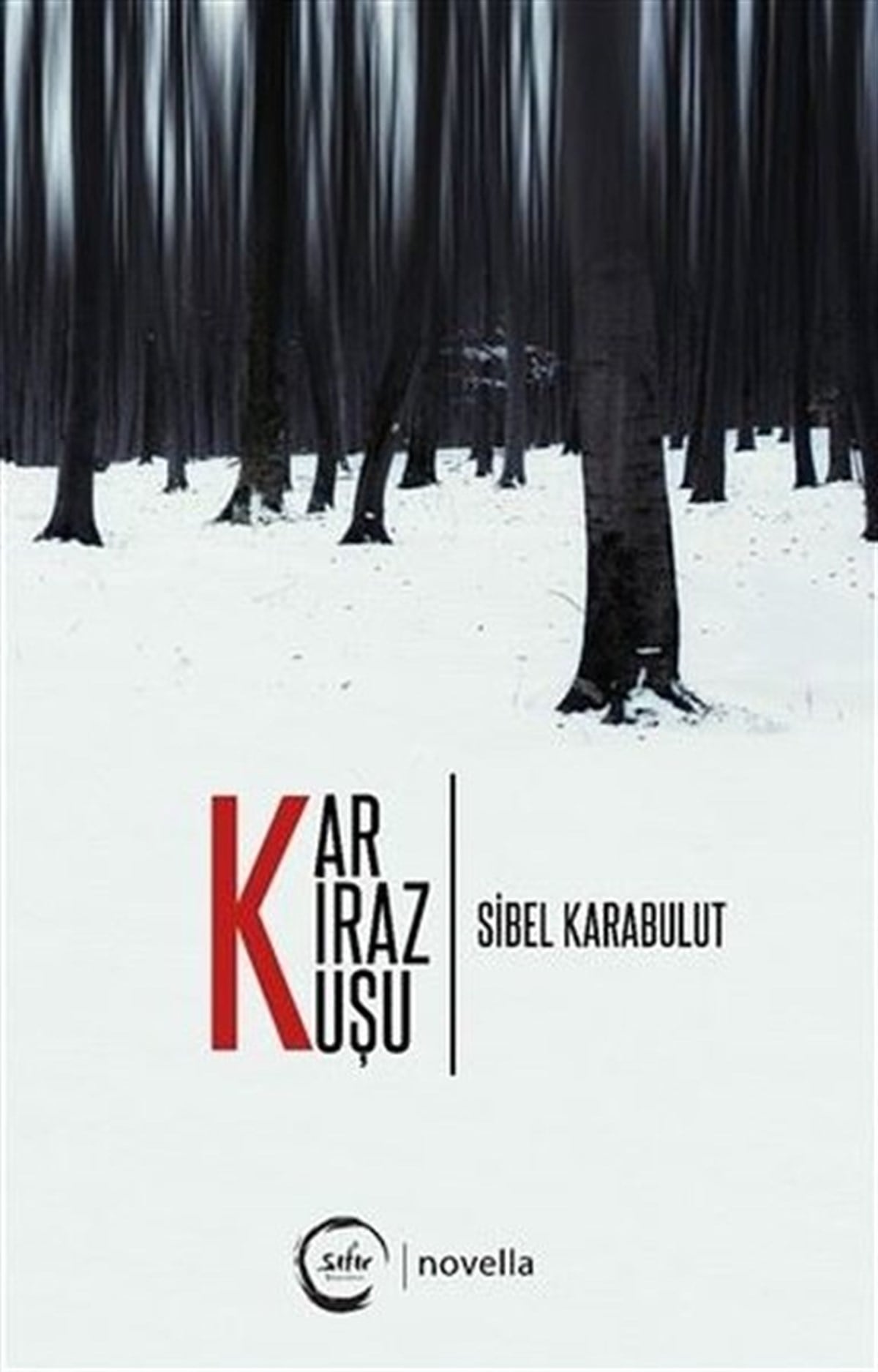 Sibel KarabulutTürkiye RomanKar Kiraz Kuşu