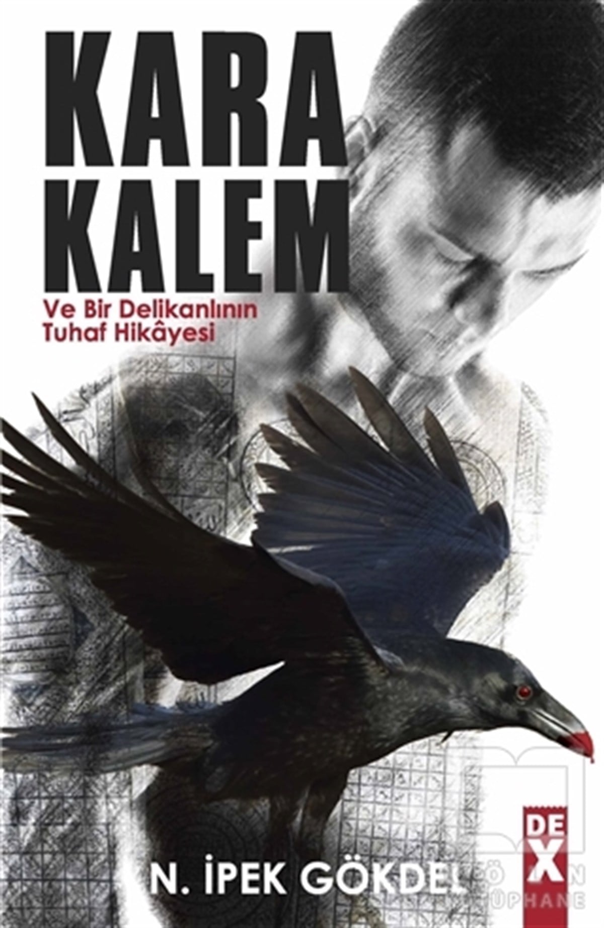 N. İpek GökdelRomanKara Kalem