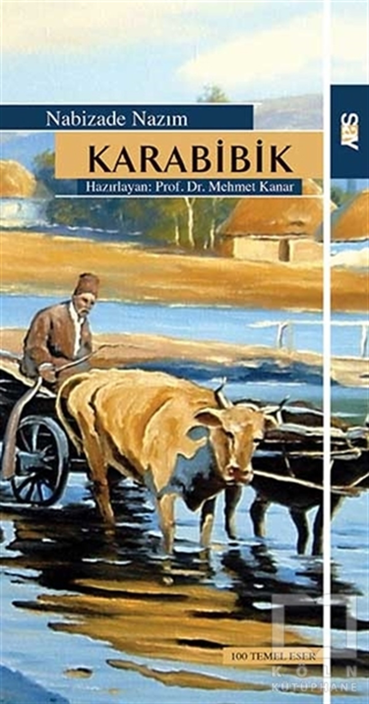 Zabizade NazımRomanKarabibik