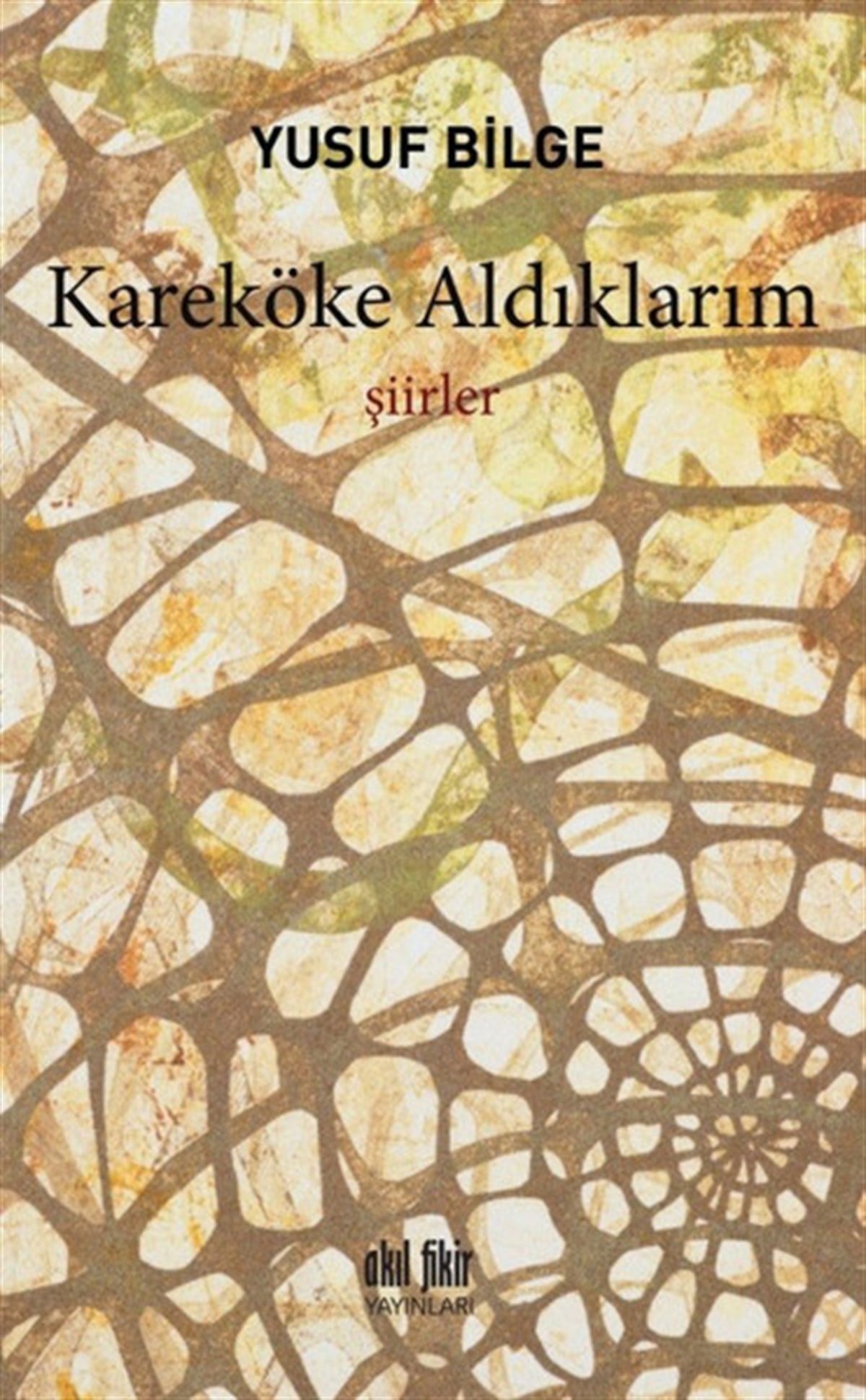 Yusuf BilgeTürk ŞiiriKaraköke Aldıklarım