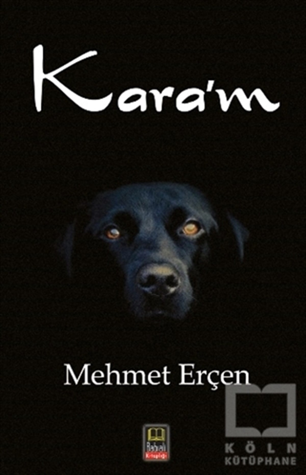 Mehmet ErçenTürkçe RomanlarKara'm