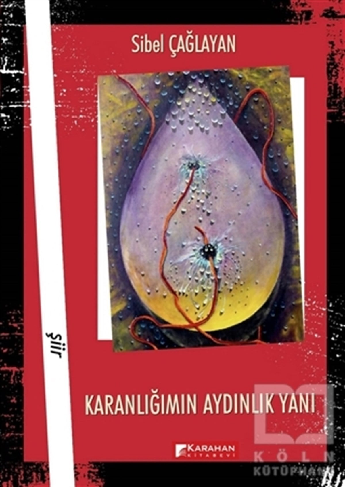 Sibel ÇağlayanTürkçe Şiir KitaplarıKaranlığımın Aydınlık Yanı