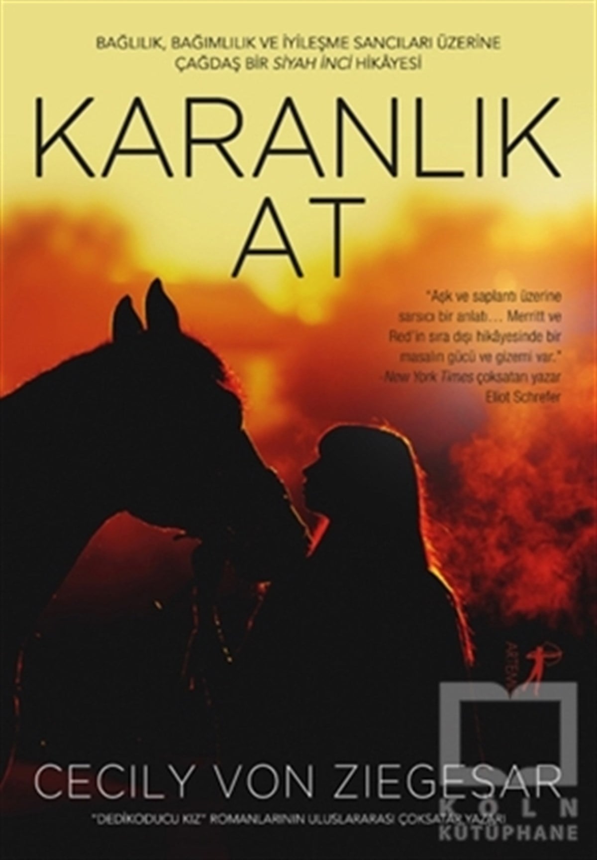 Cecily Von ZiegesarRomanKaranlık At