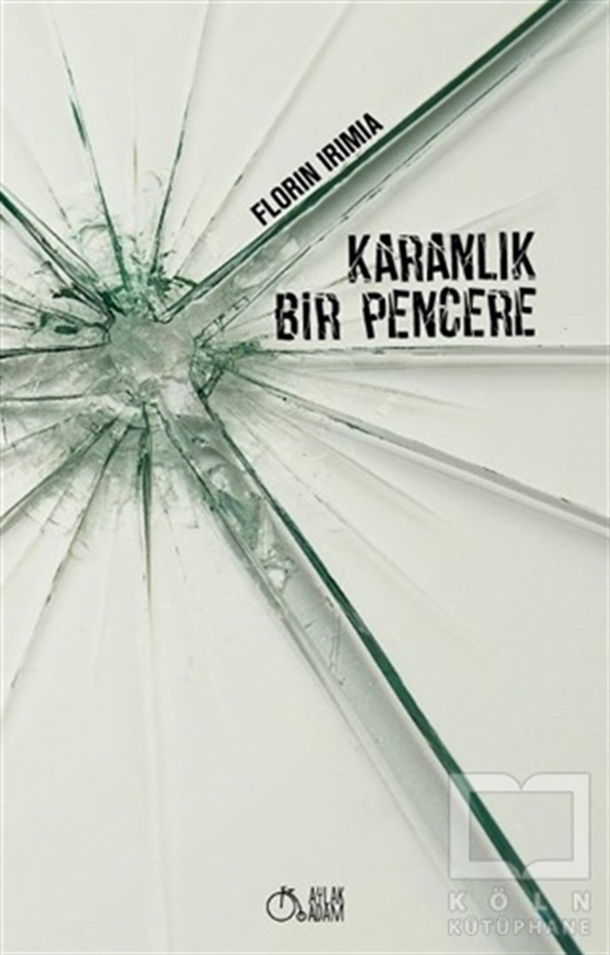 Florin IrimiaRomanKaranlık Bir Pencere