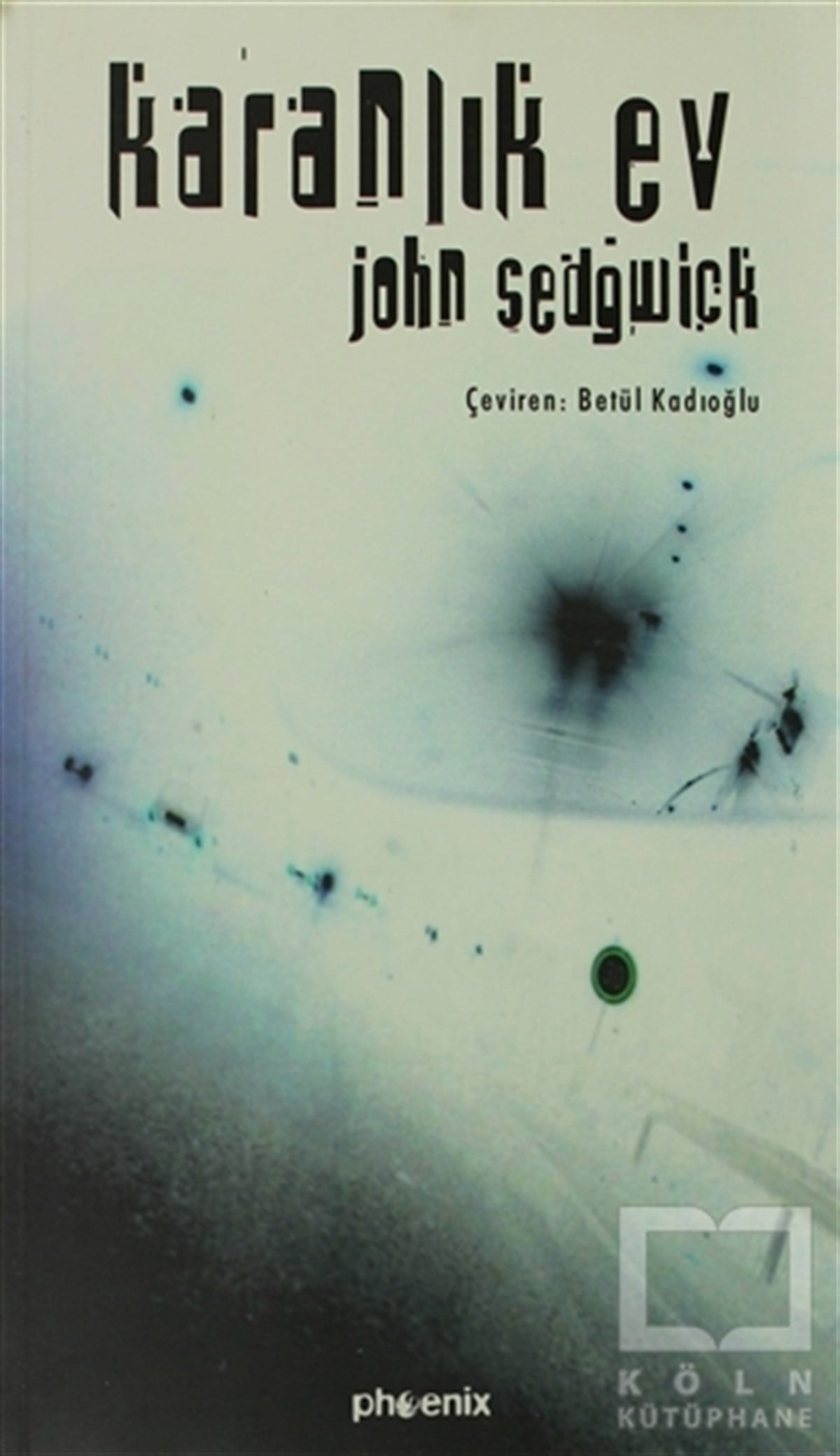 John SedgwickAmerikan EdebiyatıKaranlık Ev