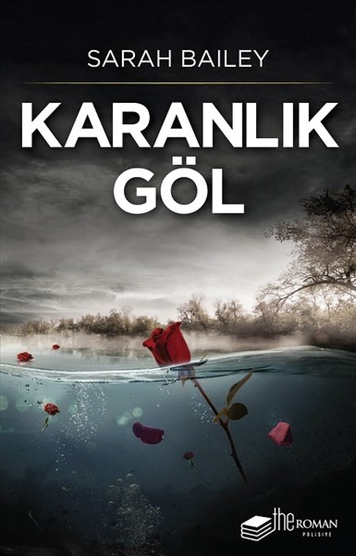 Sarah BaileyPolisiye Romanlar & Cinayet RomanlarıKaranlık Göl