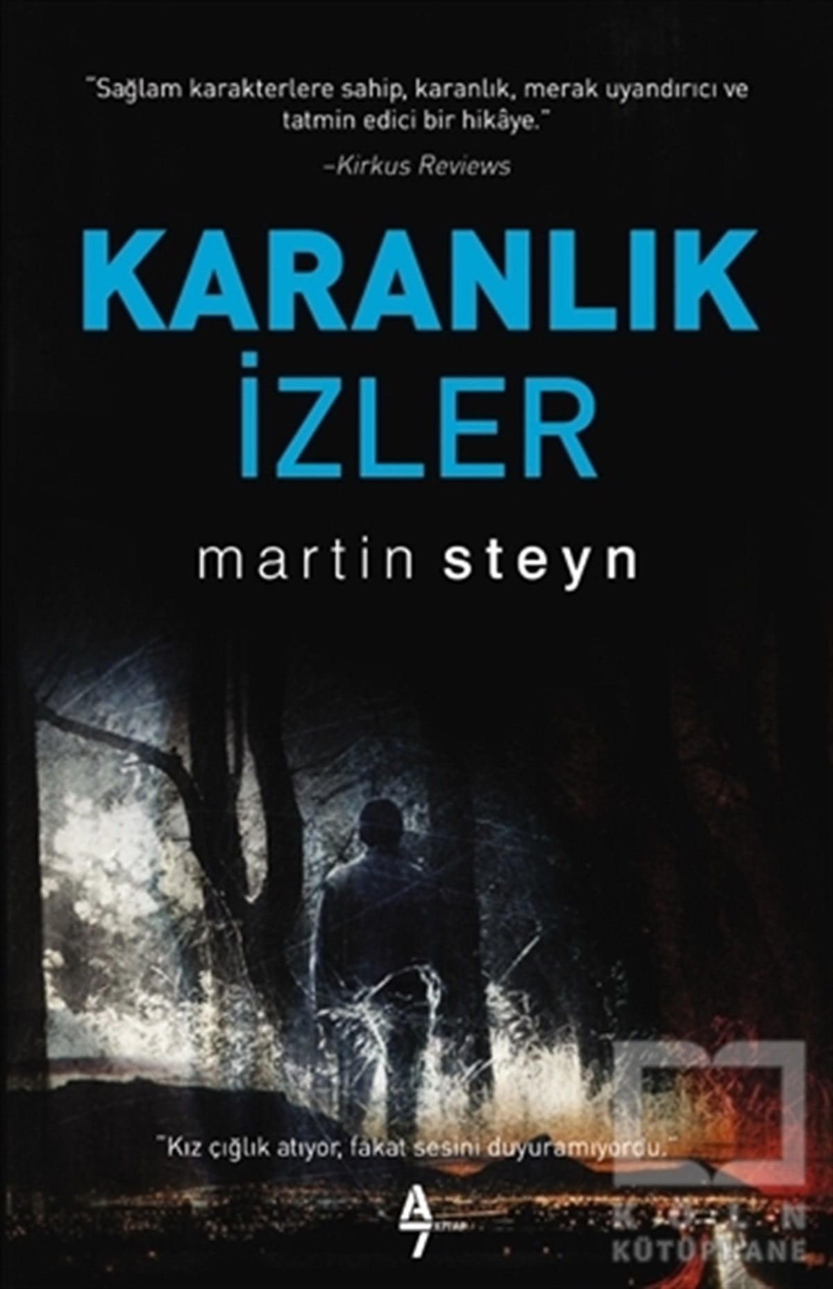 Martin SteynEleştiri, İnceleme, KuramKaranlık İzler
