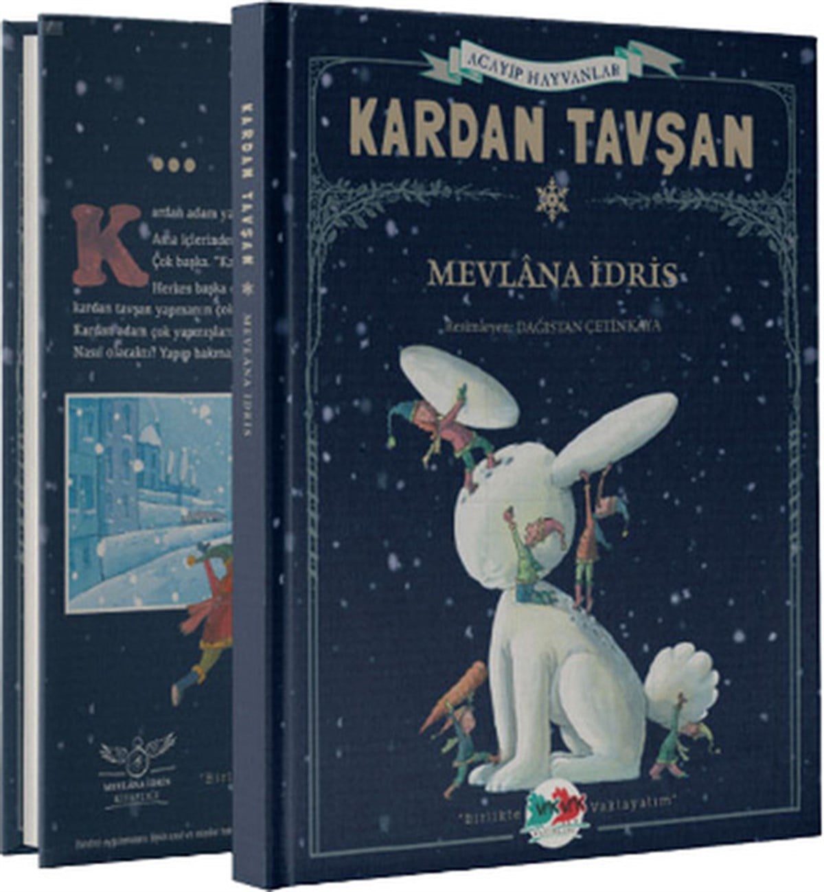 Dağıstan ÇetinkayaEgitim Etkinlik KitaplariKardan Tavşan