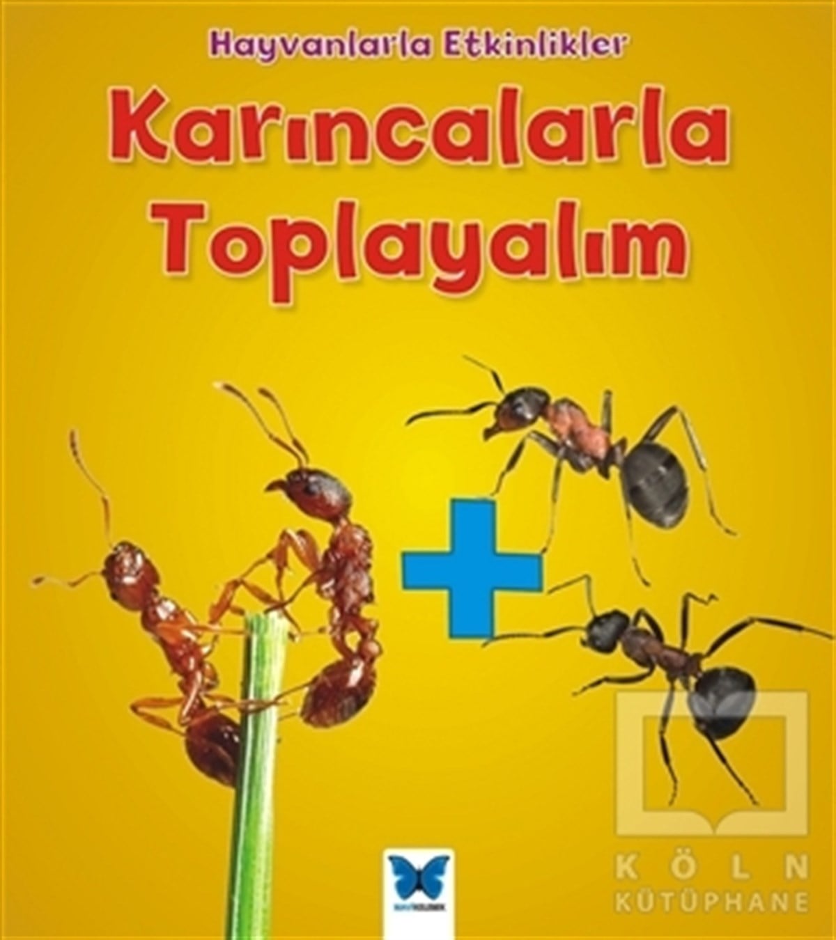 Tracey StefforaDiğerKarıncalarla Toplayalım