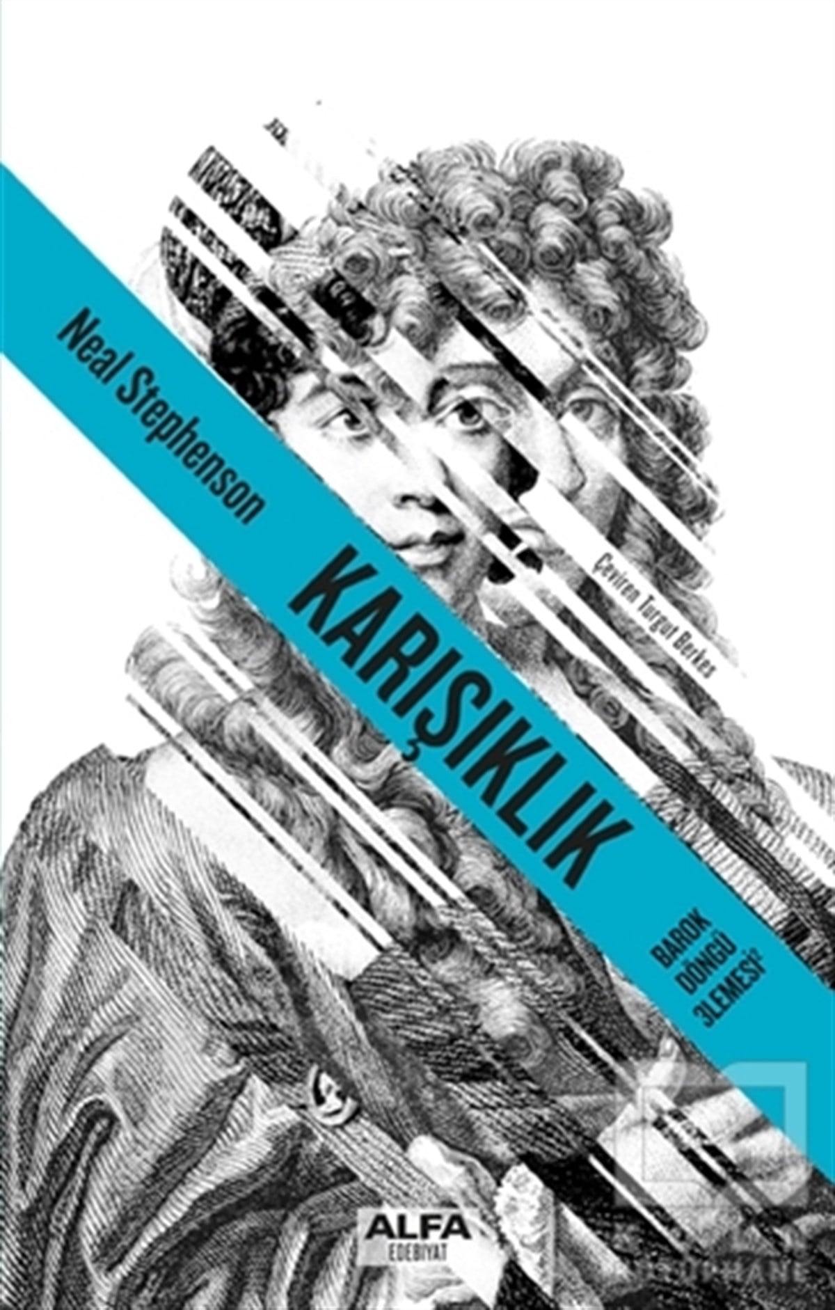 Neal StephensonRomanKarışıklık