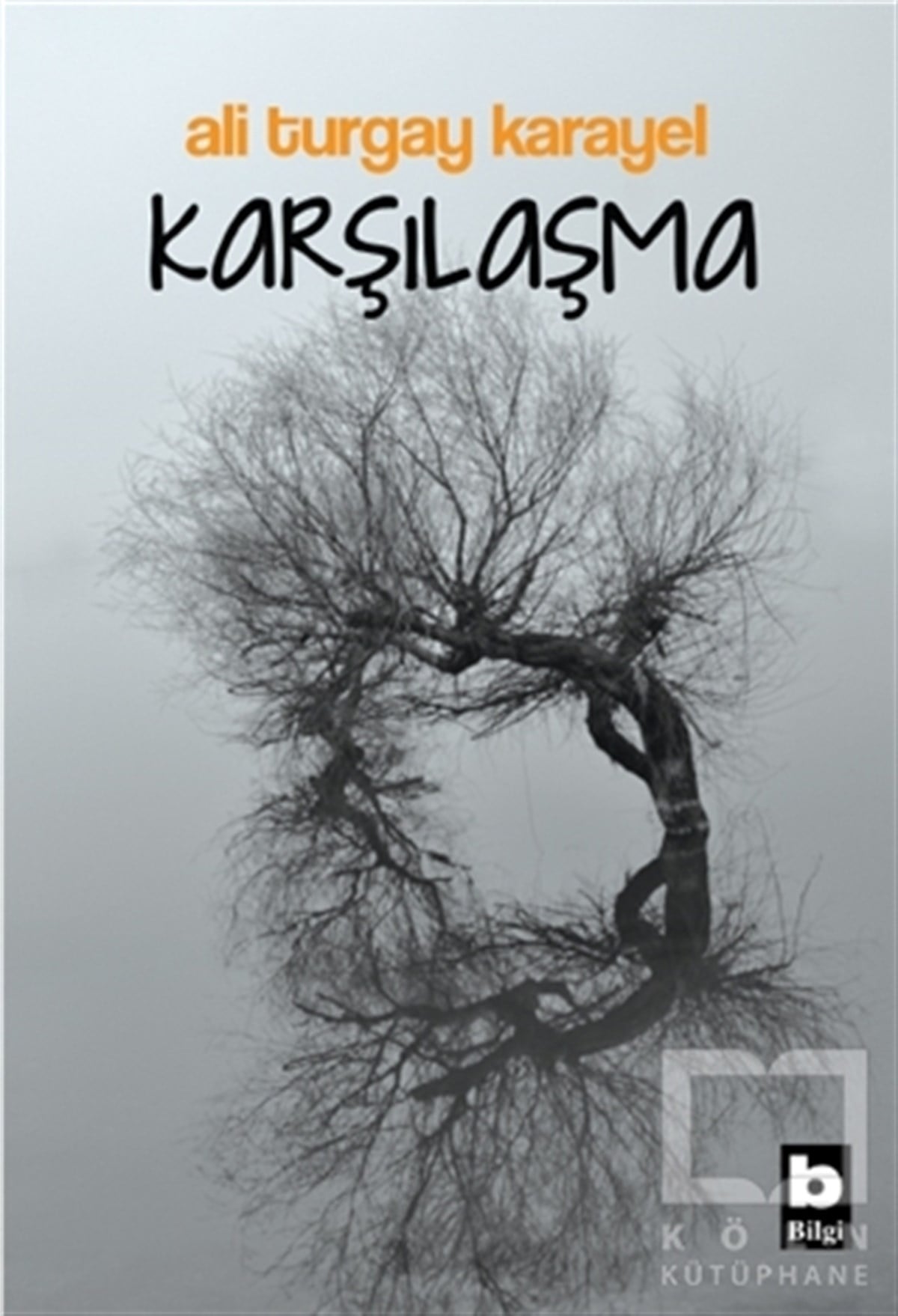 Ali Turgay KarayelRomanKarşılaşma