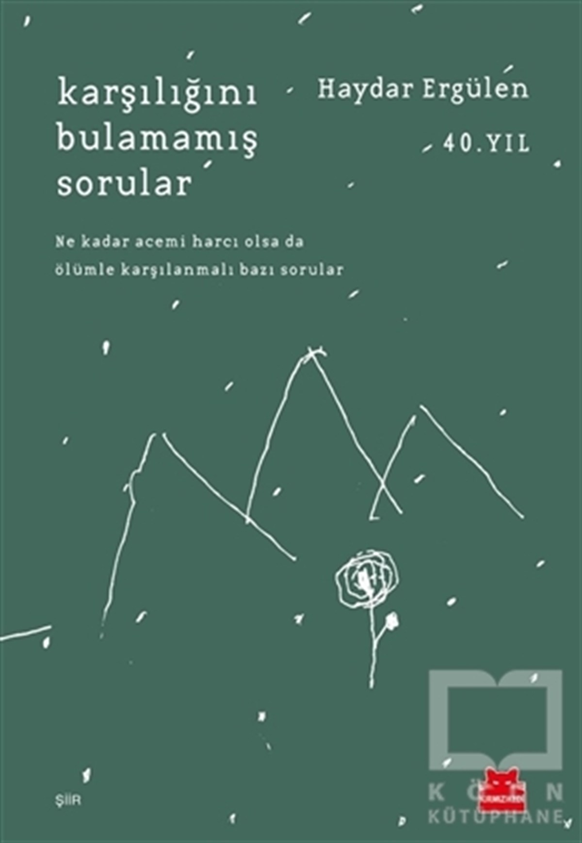 Haydar ErgülenTürkçe Şiir KitaplarıKarşılığını Bulamamış Sorular