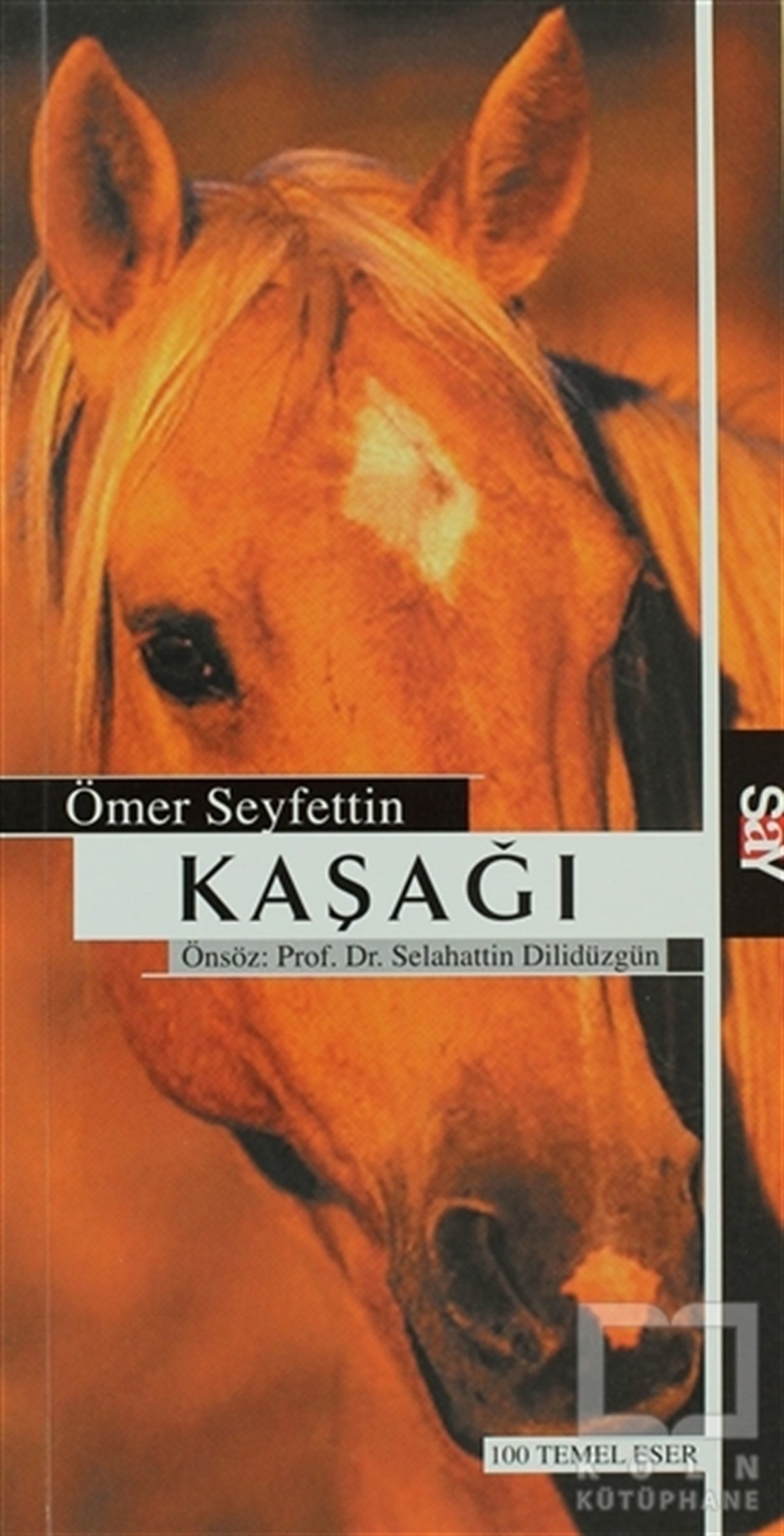 Ömer SeyfettinTürk EdebiyatıKaşağı