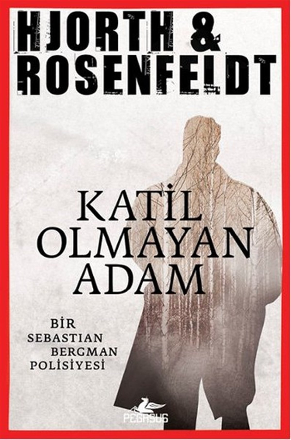 Hjorth RosenfeldtPolisiye Romanlar & Cinayet RomanlarıKatili Olmayan Adam