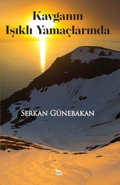 Serkan GünebakanTürkiye RomanKavganın Işıklı Yamaçlarında