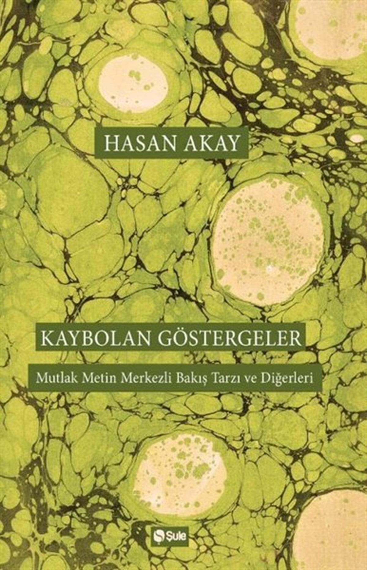 Hasan AkayEleştiri & Kuram & İnceleme KitaplarıKaybolan Göstergeler