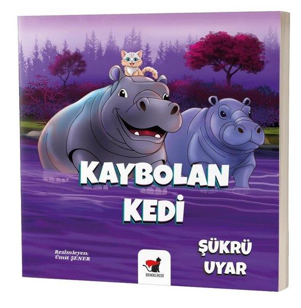 Şükrü UyarEgitim Etkinlik KitaplariKaybolan Kedi